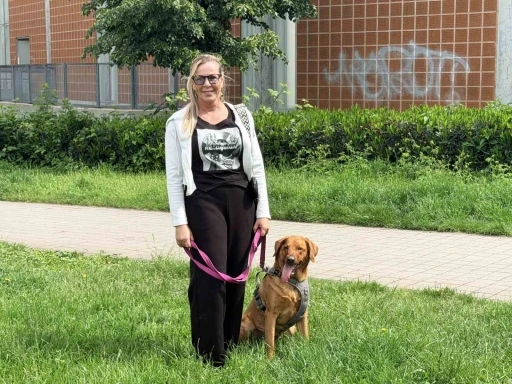 Almanya&rsquo;da k&ouml;pek sahiplerine sigorta şartı
