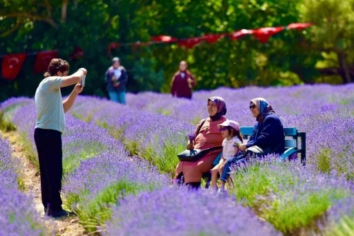 Altıeyl&uuml;l&rsquo;de mor ş&ouml;len ilgi g&ouml;rd&uuml;
