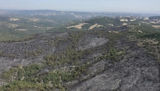 Altıeylül’deki yangın havadan görüntülendi
