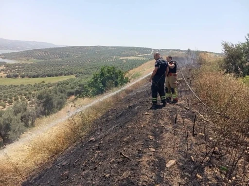 Altın&ouml;z&uuml;&rsquo;de anız yangını
