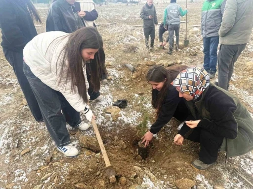 Altıntaş&rsquo;ta lise &ouml;ğrencileri fidan dikti
