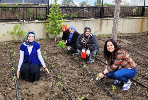Altıntaş&rsquo;ta &ouml;ğretmenler domates fidelerini toprakla buluşturdu
