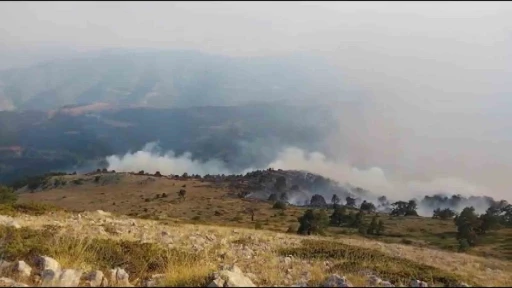 Amasya’da orman yangını
