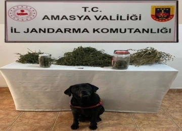Amasya&rsquo;da uyuşturucu operasyonu: 2 g&ouml;zaltı
