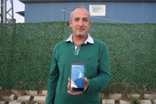 Amatör balıkçılar köpek balığından 1 saat süren mücadeleyle kurtuldu, o anlar kamareya yansıdı
