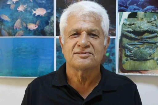 Amatör kıyı balıkçısının oltasına köpek balığı takıldı
