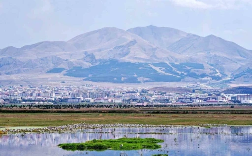 Amerika&rsquo;nın Erzurum mesaisi: Y&uuml;zyıllık belge g&uuml;n y&uuml;z&uuml;ne &ccedil;ıktı

