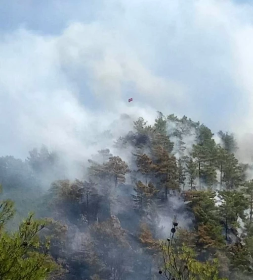 Anamur’da orman yangını
