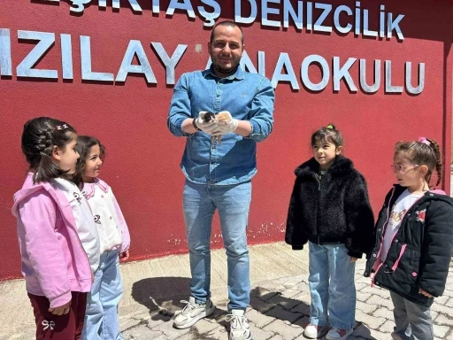 Anaokulunun misafiri &lsquo;Fındık&rsquo; 6 yavru d&uuml;nyaya getirdi
