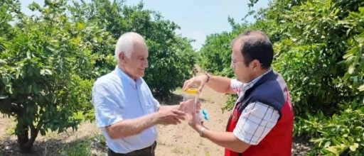 Andırın&rsquo;da faydalı b&ouml;cek ile doğal m&uuml;cadele
