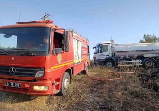 Anız ve &ouml;rt&uuml; yangınında direkte bulunan leylekler telef oldu
