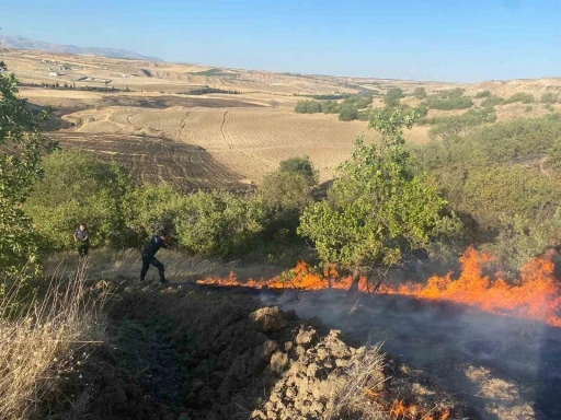 Anız yangını bahçelere sıçradı
