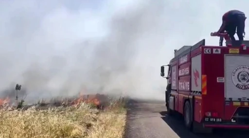 Anız yangını ormanlık alana sıçradı
