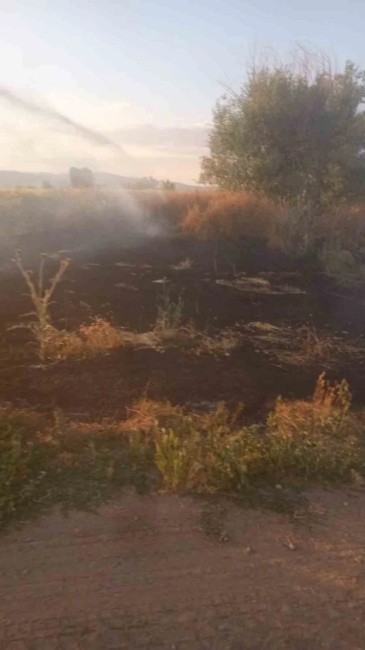 Anız yangını tarım arazileri ve ormanlık alana sı&ccedil;ramadan s&ouml;nd&uuml;r&uuml;ld&uuml;
