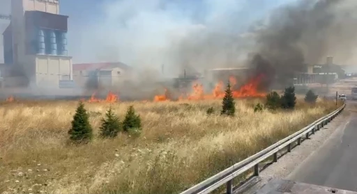 Anız yangını trafikte aksamaya neden oldu
