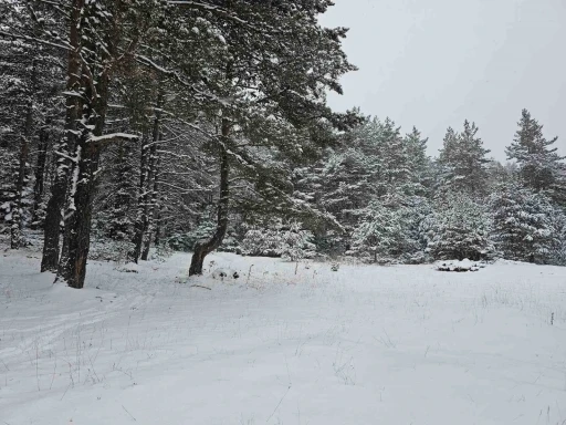 Ankara&rsquo;da yaylalar beyaza b&uuml;r&uuml;nd&uuml;
