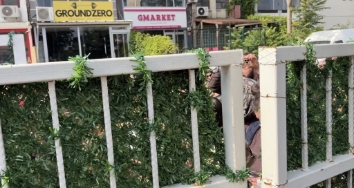 Ankara&rsquo;daki bir lisede, sınava dakikalar kala &ouml;ğrenciler okul bah&ccedil;esine alınmayınca gerginlik yaşandı

