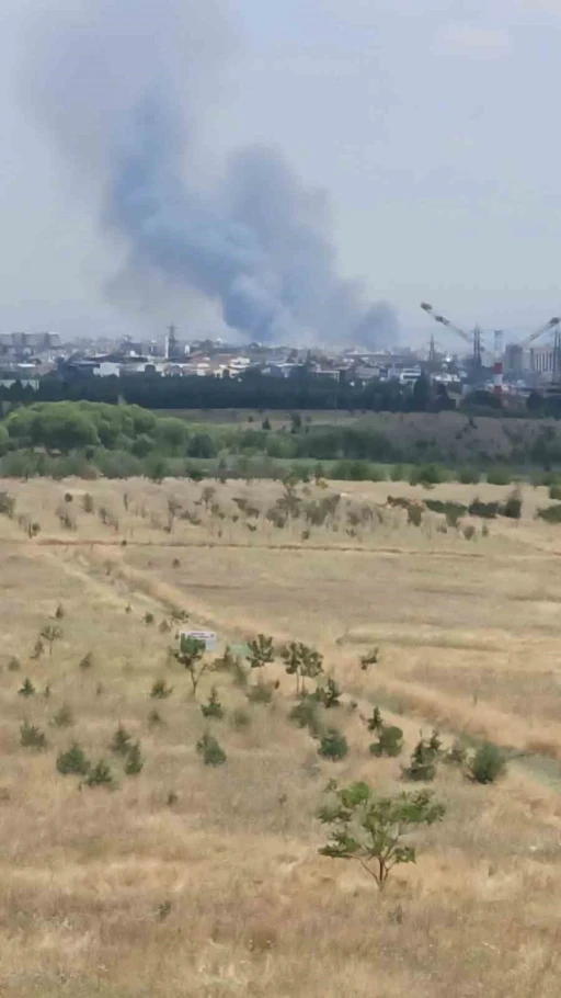 Ankara&rsquo;daki ot yangını kontrol altına alındı
