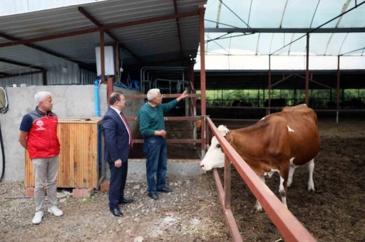 ‘Anneleri Aşılat, Buzağını Yaşat’ projesi eğitim toplantısı yapıldı