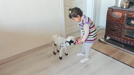 Annesinin reddettiği kuzuya 3 yaşındaki Ezo&rsquo;nun şefkati y&uuml;rekleri ısıttı
