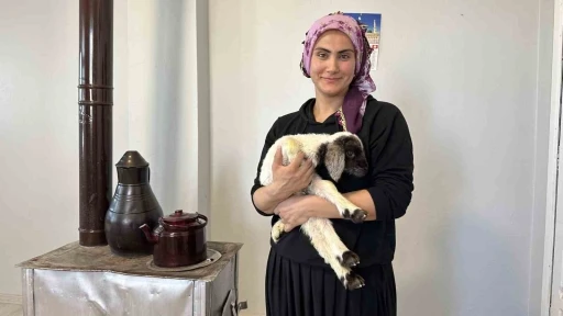 Annesiz kalan kuzu ailenin &lsquo;Umut&rsquo;u oldu
