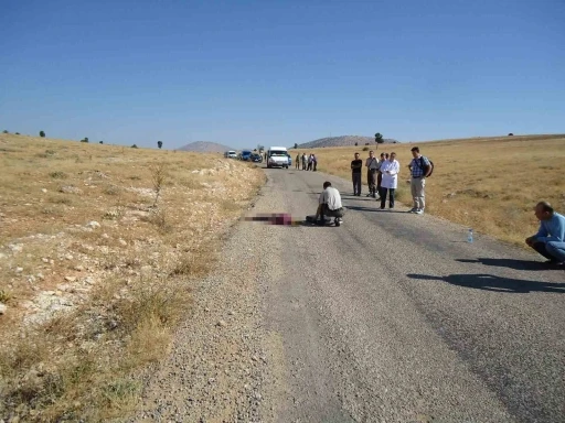 Antalya&rsquo;da 15 yıllık cinayetin sırrı DNA eşleşmesi ile &ccedil;&ouml;z&uuml;ld&uuml;
