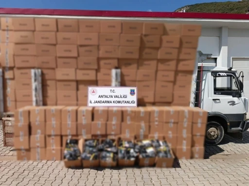 Antalya’da 4 ton kaçak tütün ele geçirildi

