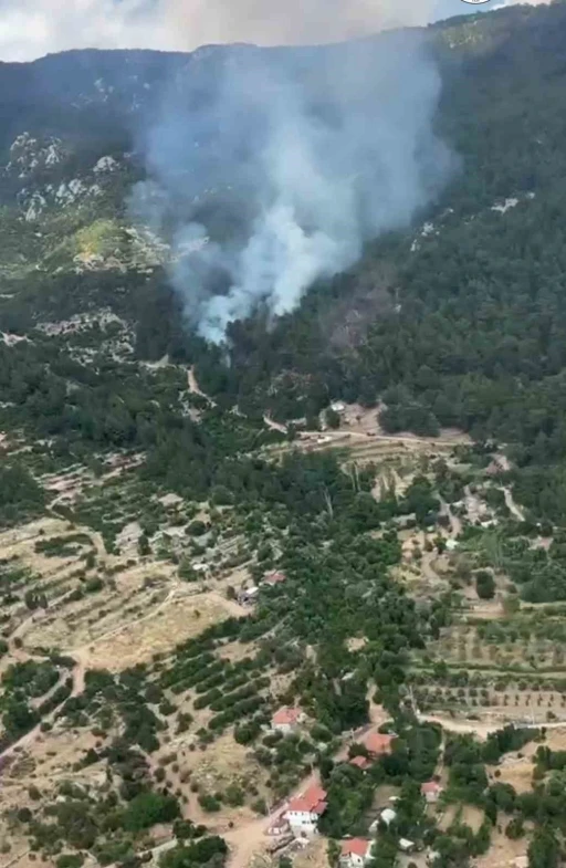 Antalya&rsquo;da 5 farklı noktada &ccedil;ıkan yangınlar kontrol altına alındı
