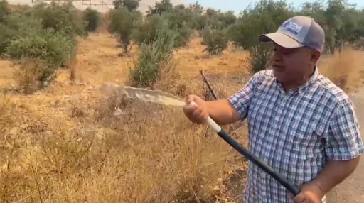 Antalya’da alevlerin yaklaştığı mahallede vatandaşlar hortumlarla nöbette
