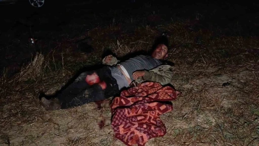 Antalya’da aslanın kaçtığı hayvanat bahçesinin denetimi sürüyor
