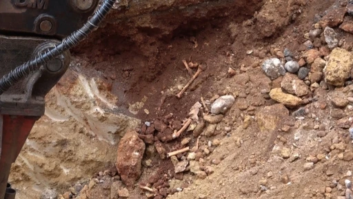 Antalya&rsquo;da belediye kazısında kemik par&ccedil;aları bulundu
