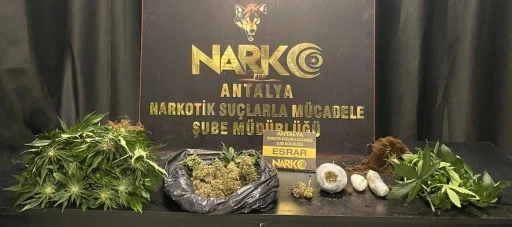 Antalya’da bir haftada 17 zehir taciri tutuklandı
