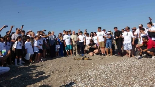 Antalya’da deniz kaplumbağaları çip takılarak denize uğurlandı
