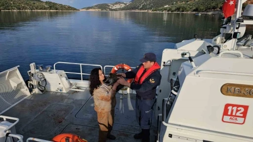Antalya’da düzensiz göçmen operasyonu: 25’i çocuk 80 kişi kurtarıldı
