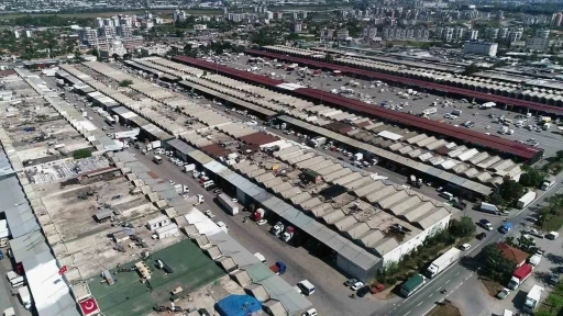 Antalya&rsquo;da haziranda domates ve meyvede işlem miktarı arttı
