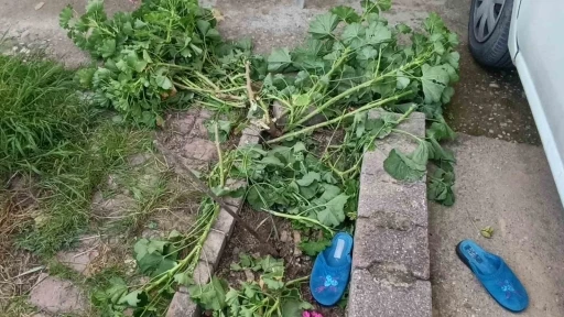 Antalya&rsquo;da k&uuml;&ccedil;&uuml;k &ccedil;ocuk ikinci kattan d&uuml;şt&uuml;, olayı kırıklarla atlattı
