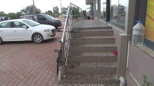 Antalya&rsquo;da yabancı uyruklu şahıs kedinin &uuml;zerine bastı, k&ouml;peği tekmeledi
