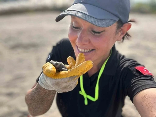 Antalya’da yavru caretta carettaların denizle buluşması için nöbet tutuluyor
