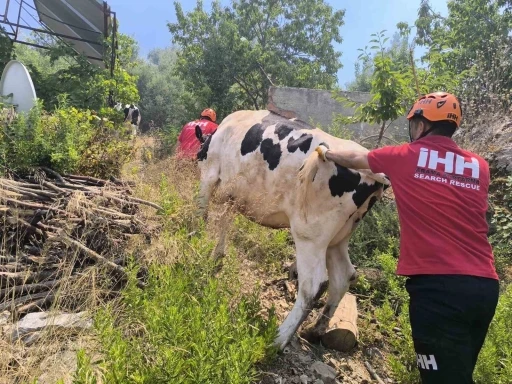 Antalya’da yerleşim yerlerini tehdit eden orman yangınında bazı evler tahliye edildi
