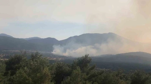 Antalya&rsquo;daki orman yangınına m&uuml;dahale s&uuml;r&uuml;yor
