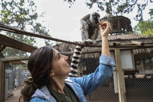 Antalya Doğal Yaşam Parkı&rsquo;nda yavru lemur sevinci
