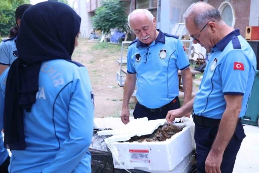 Antalya Otob&uuml;s Terminali&rsquo;nde kerevit operasyonu: 90 kilogram ele ge&ccedil;irildi

