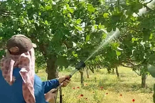 Araban&rsquo;da Antepfıstığı &uuml;reticileri hastalıklar ve zararlılarla m&uuml;cadele başlattı
