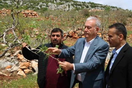 Araban&rsquo;da &rsquo;s&uuml;per h&uuml;cre&rsquo; fırtınası fıstık bah&ccedil;elerine zarar verdi

