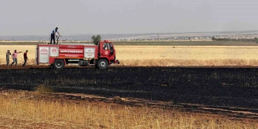 Araban Ovası’nda 15 dönüm buğday ekili alan daha yandı

