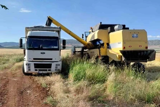 Araban Ovası&rsquo;nda arpa hasadı yapılmaya başlandı
