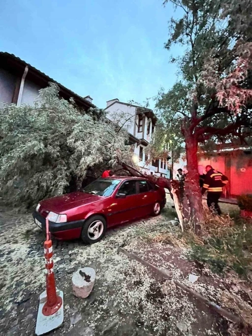 Ara&ccedil; &uuml;zerine d&uuml;şen ağa&ccedil; itfaiye ekiplerinin titiz &ccedil;alışmasıyla kaldırıldı
