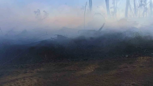 Ara&ccedil; yangını ormanlık alana sı&ccedil;radı, ekipler alevleri b&uuml;y&uuml;meden s&ouml;nd&uuml;rd&uuml;
