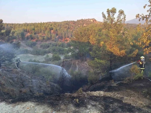 Araç yangınıyla başlayan orman yangını kısa sürede söndürüldü

