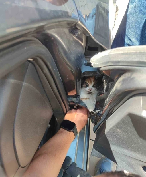 Aracın kapısına sıkışan kediyi itfaiye kurtardı
